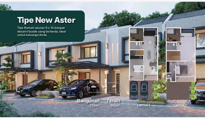 Layout Type New Aster